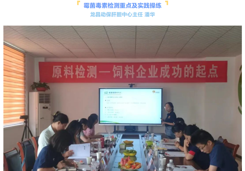 1688376463235663.png image.png