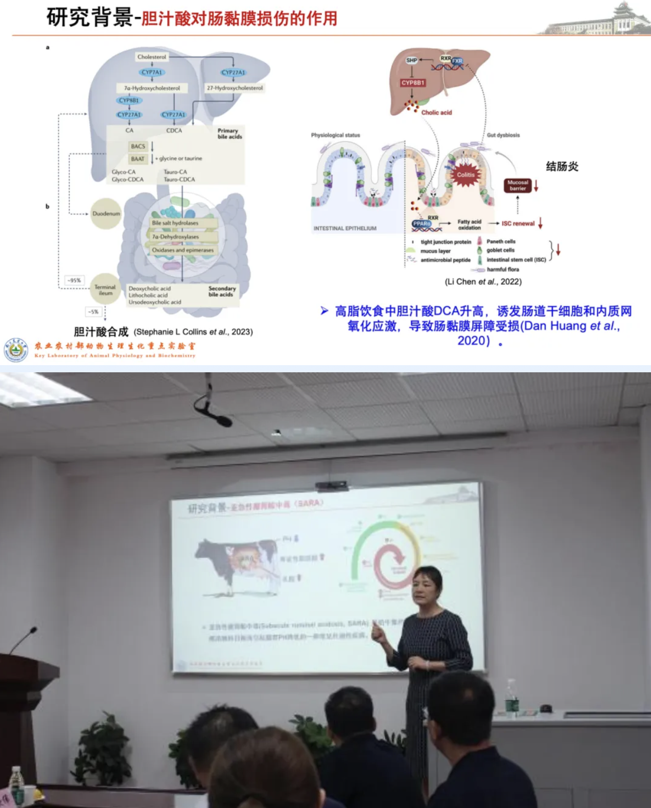 截屏2024-09-24 08.51.16.png