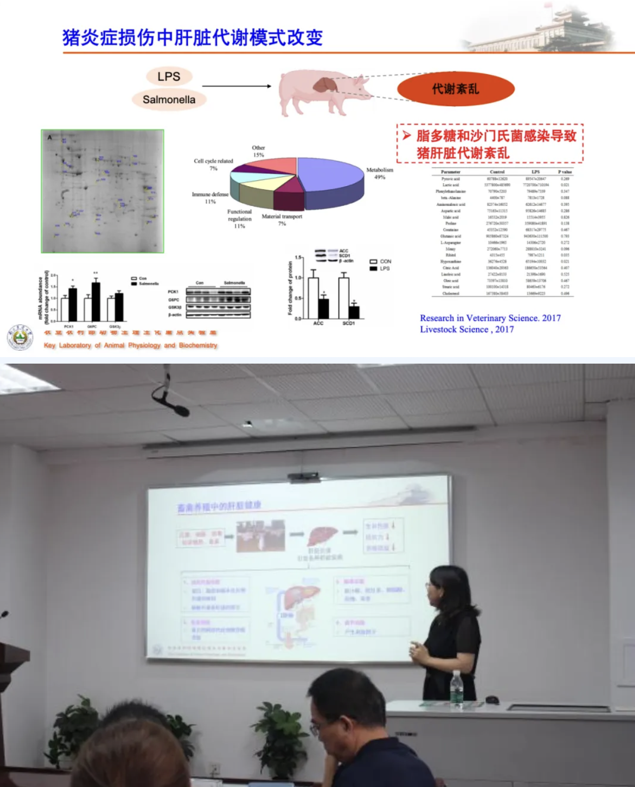 截屏2024-09-24 08.51.31.png
