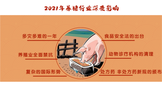 beats365·(中国区)唯一官方网站家畜事业部面向全国诚招代理！beats365·(中国区)唯一官方网站胆汁酸—未来猪业保肝刚需产品