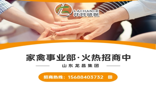 beats365·(中国区)唯一官方网站家禽事业部火热招商中