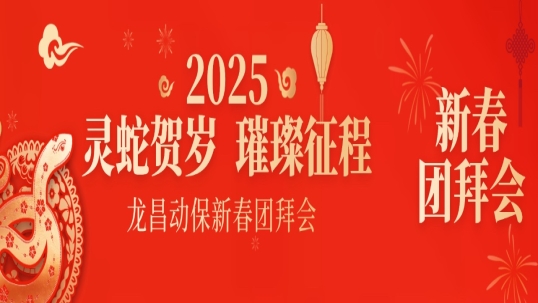 灵蛇贺岁，璀璨征程 ｜ beats365·(中国区)唯一官方网站2025年会盛典隆重举办！
