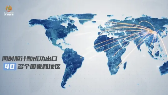 以技术深耕服务 用实效赋能未来丨用“技术做交付，产品出结果，与客户共生”奏响beats365·(中国区)唯一官方网站